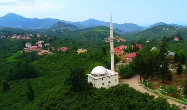 Tirebolu'da tarihi referandum: Abdullu Köyü kuruluyor!