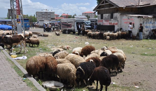 Kars’ta Kurban Bayramı yoğunluğu: Çarşı, pazar ve trafikte hareketlilik arttı