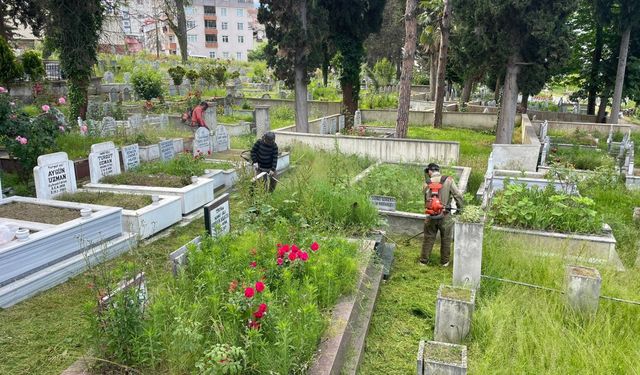 Ordu'da mezarlıklar Kurban Bayramı'na hazır