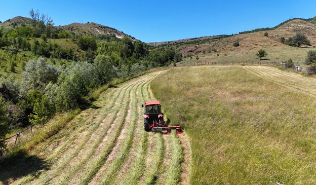 Türkiye, 7 tarımsal üründe dünya birinciliğini elinde tutuyor