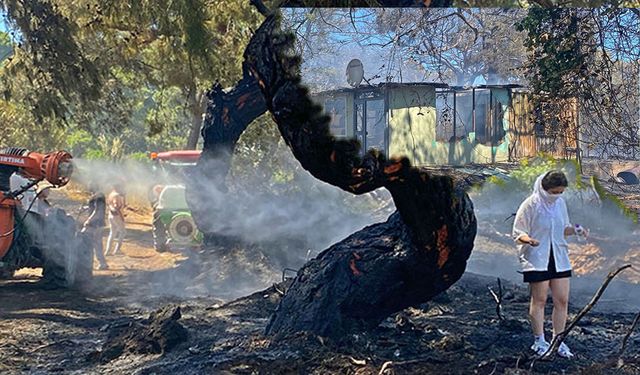 Kahramanlık ve gözyaşı: Antalya’daki yangında hem yürekler hem orman yandı