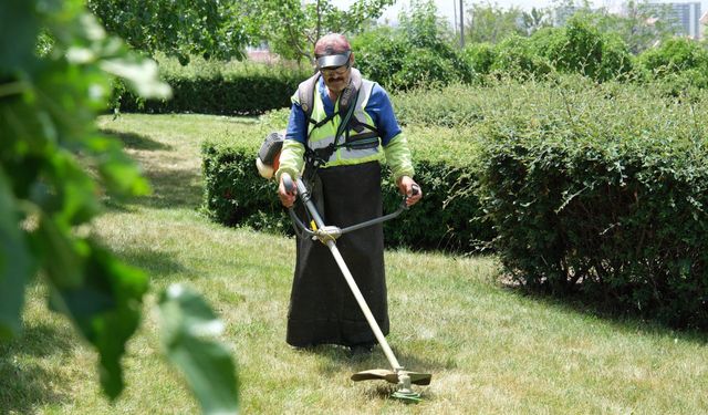 Ankara büyükşehir Belediyesi'nden sıcak hava düzenlemesi