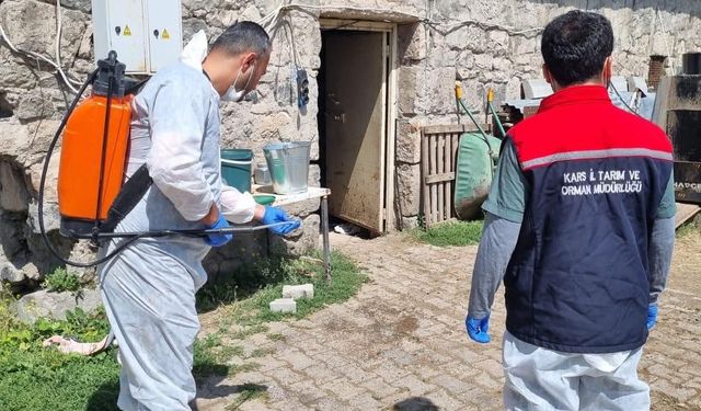 Kars'ta İlçe Tarım ve Orman Müdürlüğü ekipleri sahada: Yayıklı Köyü'nde dezenfeksiyon ve kontrol çalışması