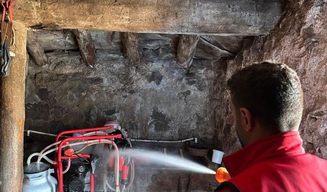 Susuz'da şap hastalığına karşı aşılama ve dezenfekte çalışmaları devam ediyor