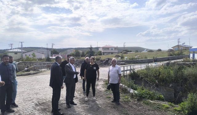DSİ 24. Bölge Müdürü Serdar Kotan, Ardahan’daki derelerde devam eden çalışmaları yerinde inceledi