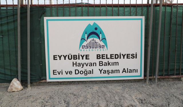 Eyyübiye, sokak hayvanları sorununu çözdü