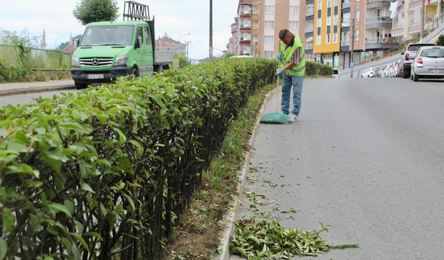 Giresun Belediyesi yeşili koruyor