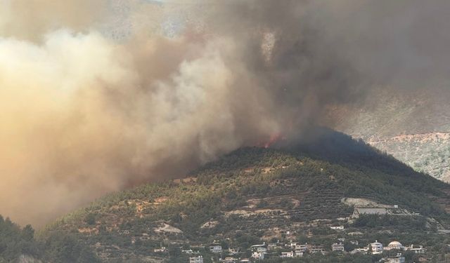 Hatay'da orman yangını