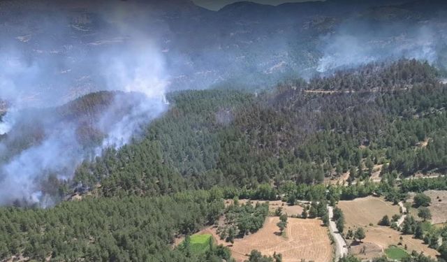 Isparta’da korkutan yangın kısa sürede kontrol altına alındı