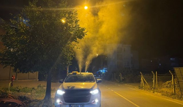 Ordu Büyükşehir sineksiz bir yaz için sahada