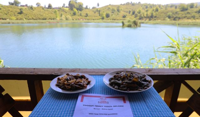 Ordu Büyükşehir gastronomi ile ün kazanıyor