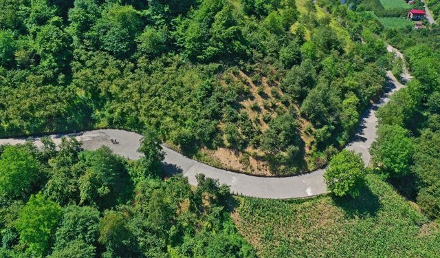 Ünye Yeniköy'de yol sevinci