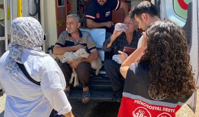 Yangın bölgesindeki hanelere 12 milyon yardım