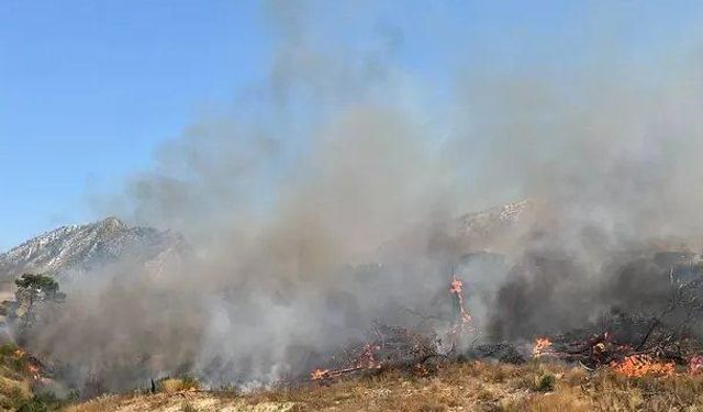 Şırnak’ta Bestler Dereler bölgesinde orman ve örtü yangını