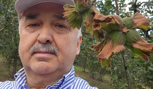Giresun Milletvekili Ali Temür: Fındık emanet vermeyin
