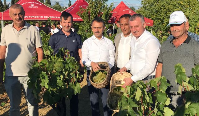 Başkan Büyükakın, İzmit’te üzüm hasadına katıldı