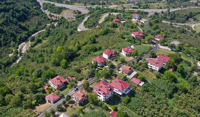 Ordu'da asfalt seferberliği devam ediyor