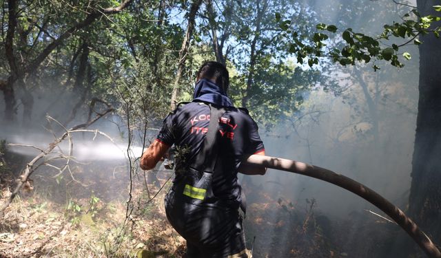 Kocaeli Büyükşehir, Karamürsel yangını için seferberlik ilan etti
