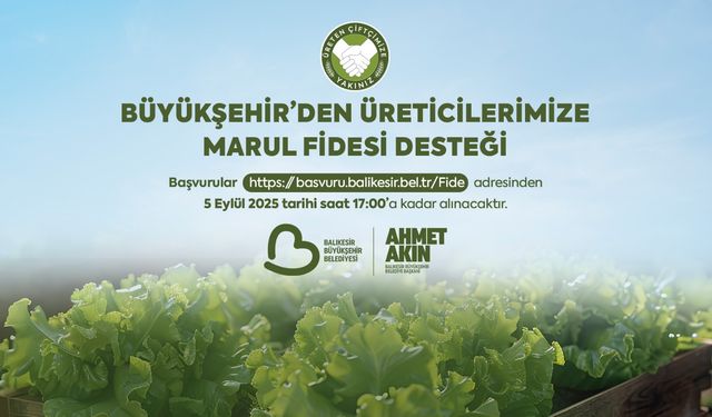Balıkesir Büyükşehirden çiftçilere marul fidesi desteği