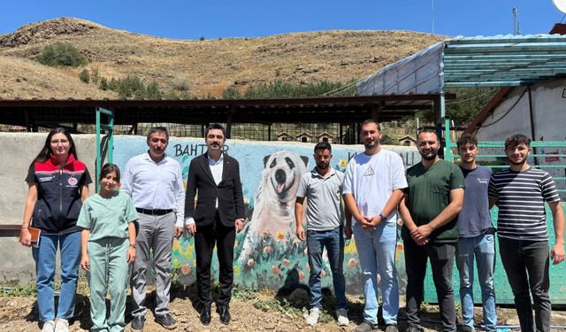 Susuz Kaymakamı Tutal, Hayvan Barınağında incelemelerde bulundu