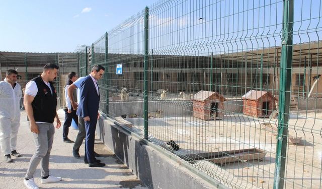 Selim Kaymakamı Mehmet Ali Semiz'den hayvan barınağına ziyaret