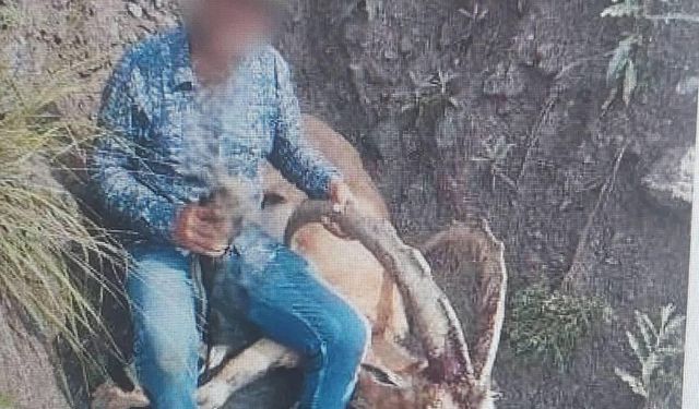 Kağızman’da yaban keçisi avlayan şahsa 658 bin TL ceza uygulandı
