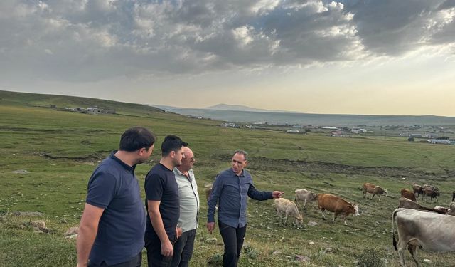 Hayvancılık yetkilileri Kars’ta incelemelerde bulundu