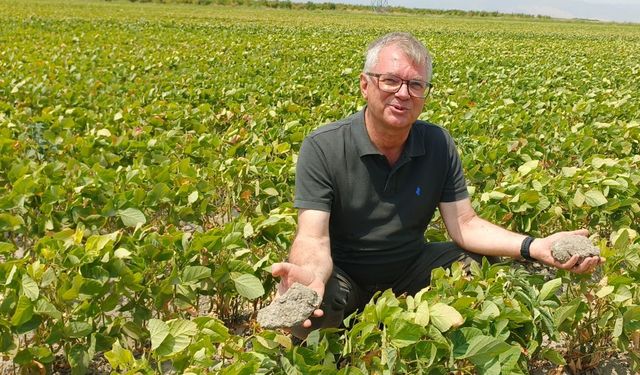 Hataylı çiftçiler: Züğürt Ağa olduk!