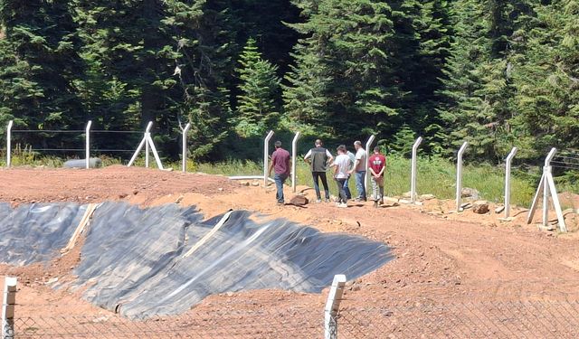Zonguldak Orman Bölge Müdürlüğü, Kumluca’daki çalışmaları yerinde inceledi