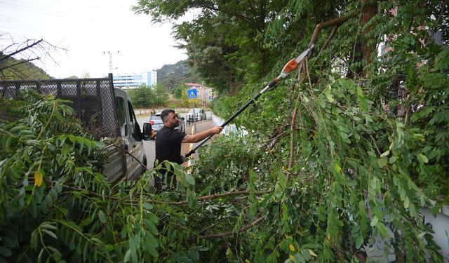 Giresun Belediyesi şehir estetiğine önem veriyor