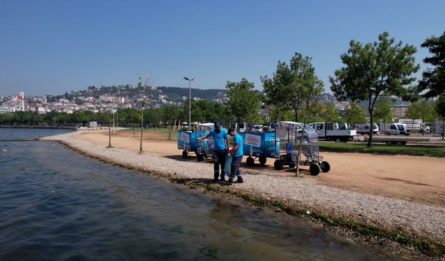 Kocaeli Büyükşehir Belediyesi sahilleri temiz tutmak için çalışıyor