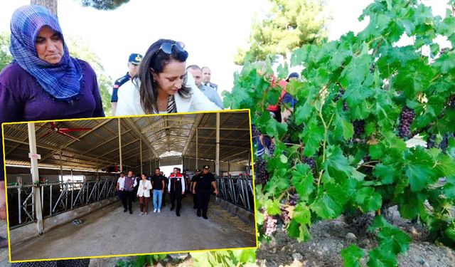 Kemer’de üreticiye destek mesajı: Tarım ve hayvancılık güçlenecek