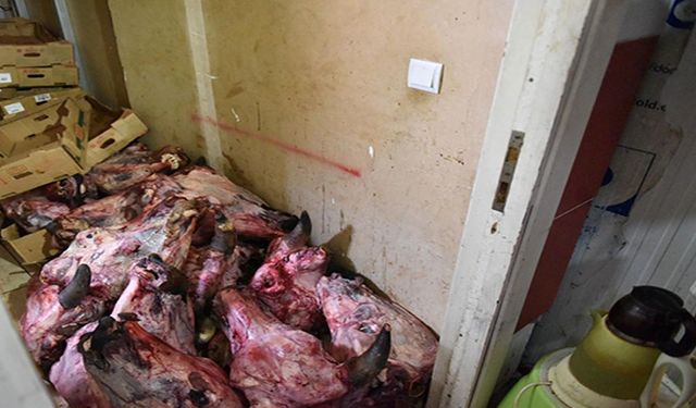 Antalya'da mide kaldırmaz görüntüler! Bir marketin deposunda çürük et skandalı