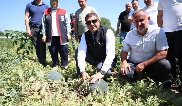 Düzce Valisi Aslan karpuz üreticisini tebrik etti