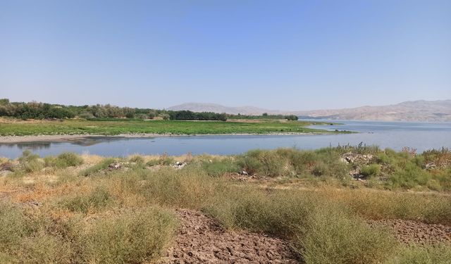 Malatya’da tarımsal sulamada kuraklık endişesi