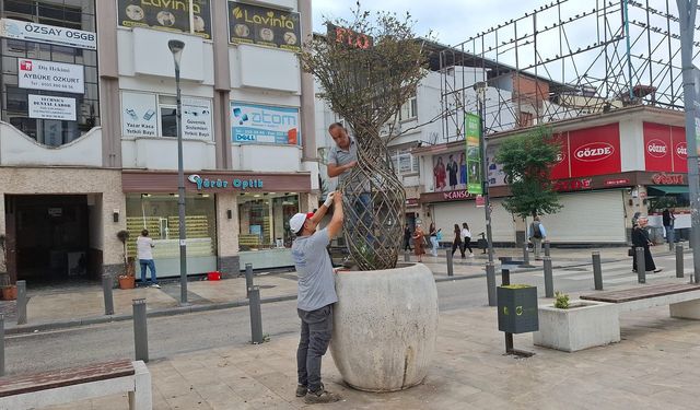 Ordu'nun kent estetiğine büyükşehir dokunuşu