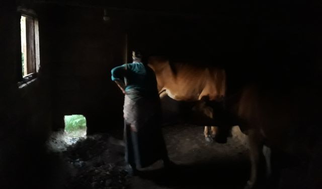 Karadeniz kadınının bitmeyen çilesi