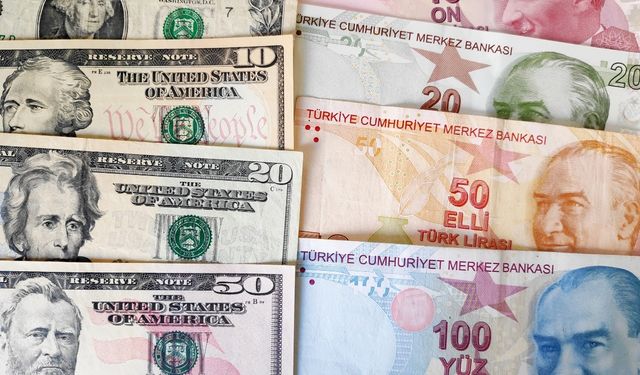 Firmaların net döviz açığında temmuzda düşüş
