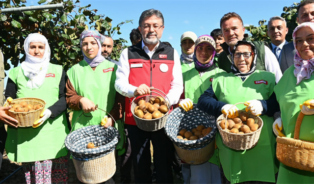 Bakan Yumaklı Kivi Hasadına Katıldı