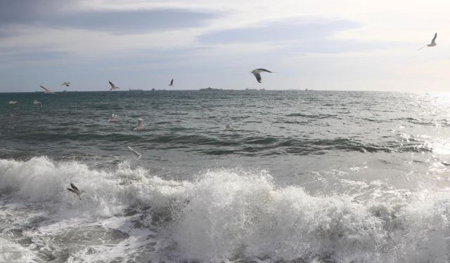 Marmara kıyılarında 1,6 milyon kişi iklim riski altında