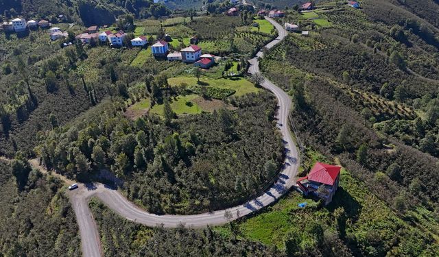 Ordu Gürgentepe’de 13 kilometrelik asfalt çalışması