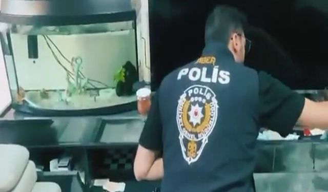 Siber Suçlarla Mücadele Kapsamında 170 Şüpheli Yakalandı