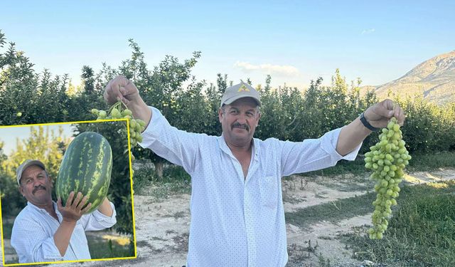 Senirkentli çiftçiler dev karpuzlarla rekor kırıyor
