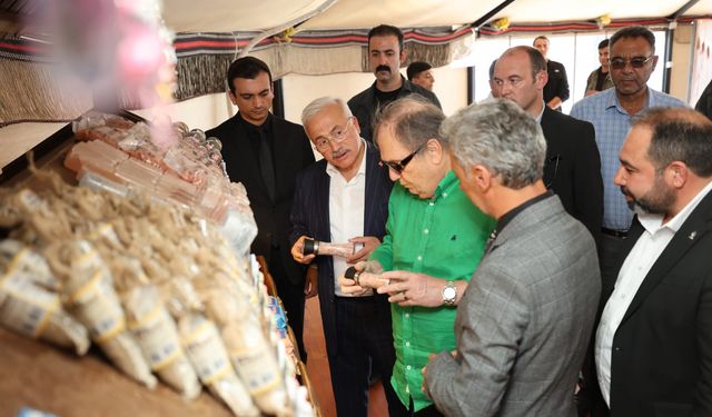 Eskil Tuz Odaları ile şifa merkezi olmayı hedefliyor