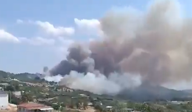 Bursa Gündoğdu'da Orman Yangını