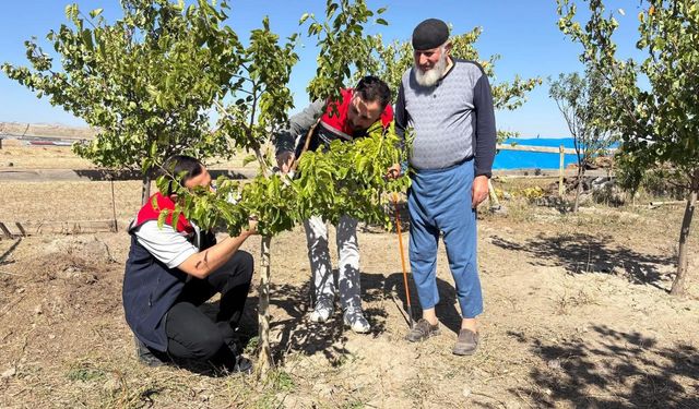 Bacalı Köyü'nde durgun T göz aşısı uygulaması ve takip çalışmaları yapıldı