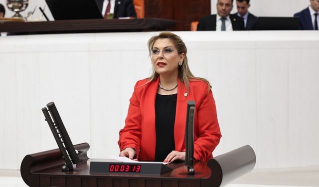 Elvan Işık Gezmiş İstiklal Madalyası için kanun teklifi verdi