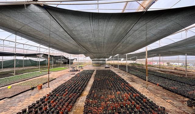 Sera kent üretiyor Eyyübiye kazanıyor