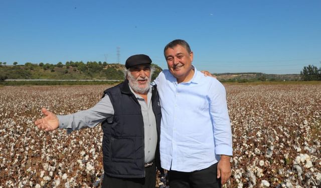 Antalya Aksu’da pamuk hasadı başladı