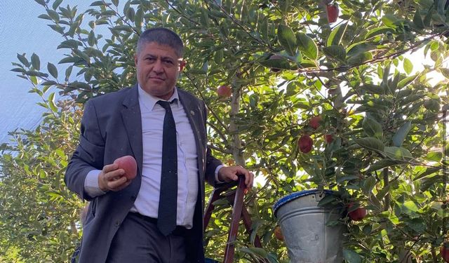 Başkan Selçuk Elma hasadına katıldı: Çiftçilerle bir araya geldi